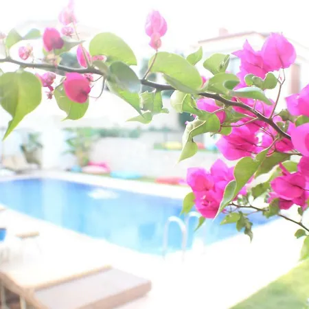 Sureyya Hanim Butik Σμύρνη