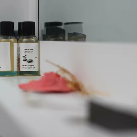 Ξενοδοχείο Sureyya Hanim Butik Σμύρνη