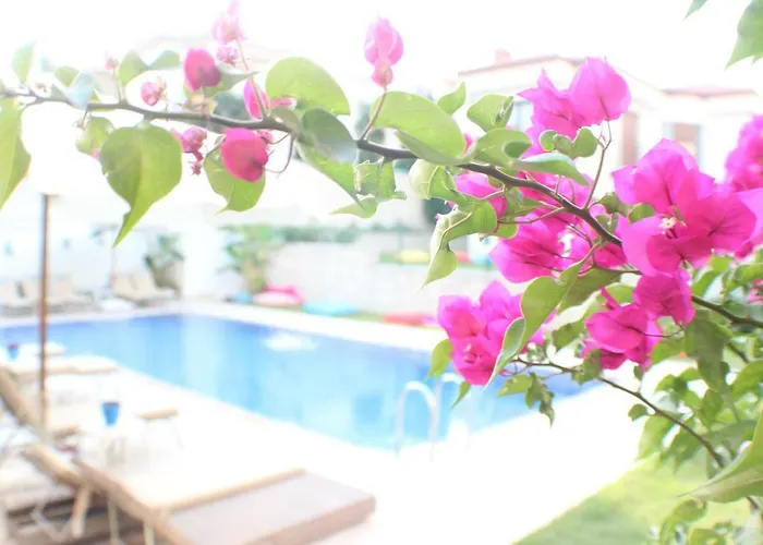 Sureyya Hanim Butik İzmir